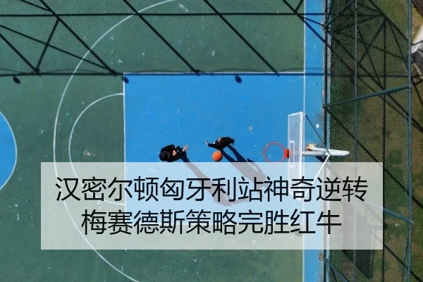 han-mi-er-dun-xiong-ya-li-zhan-shen-qi-ni-zhuan-mei-sai-de-si-ce-lve-wan-sheng-hong-niu-2-414.jpg
