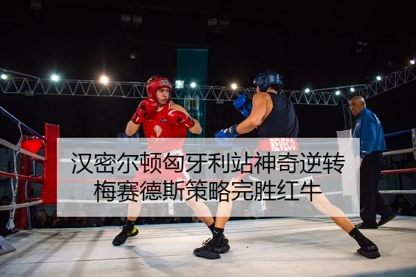 汉密尔顿匈牙利站神奇逆转 梅赛德斯策略完胜红牛